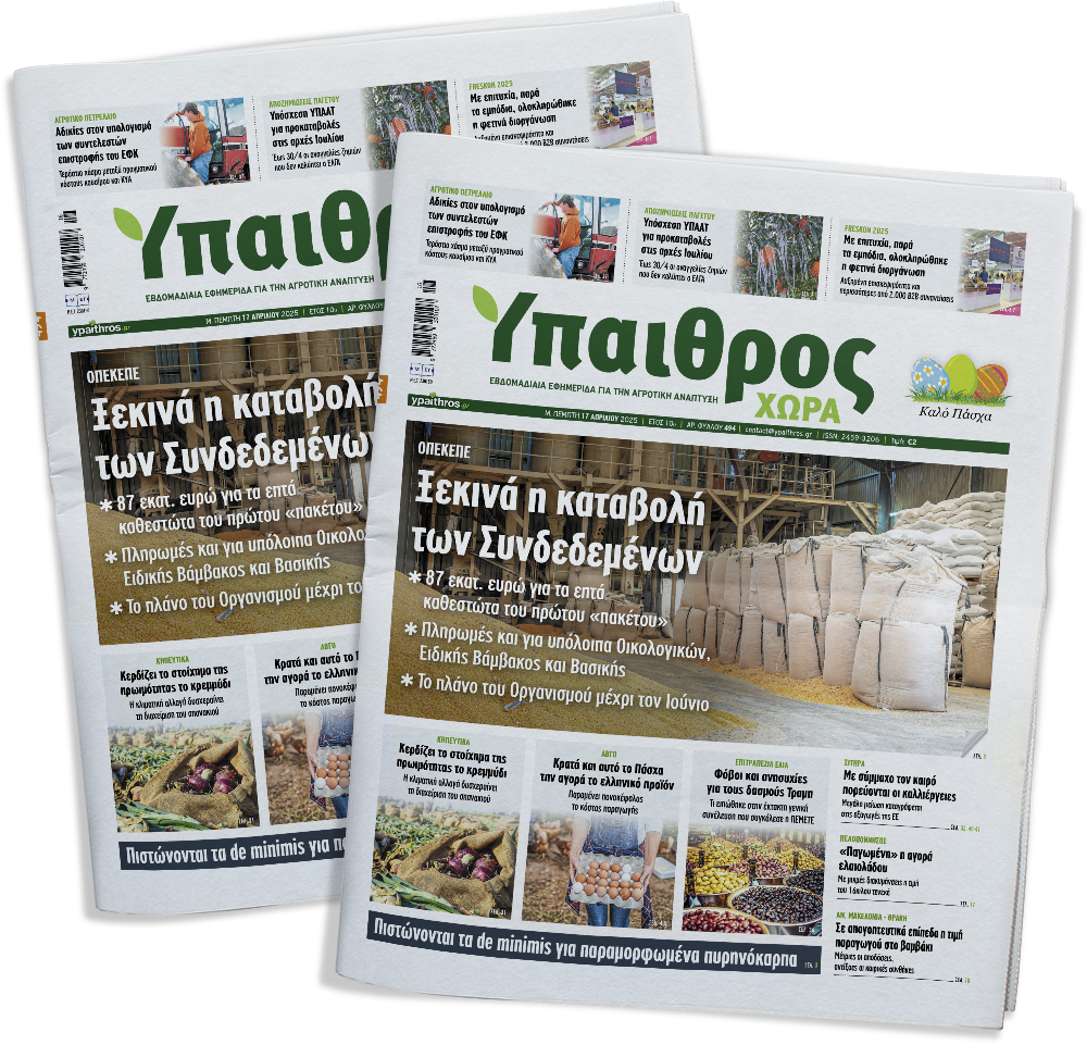 fyllo-494-m-pebti-17-apriliou-2025-351096