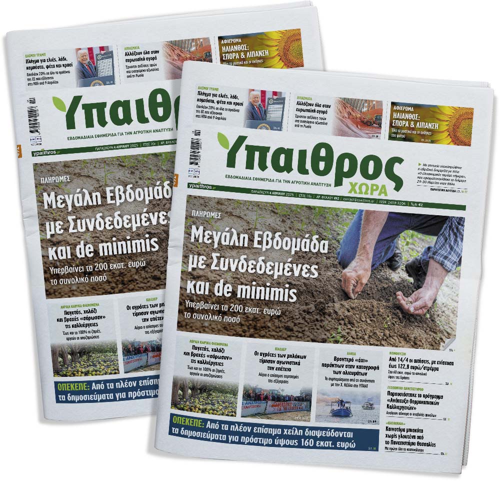 fyllo-492-paraskevi-4-apriliou-2025-350055