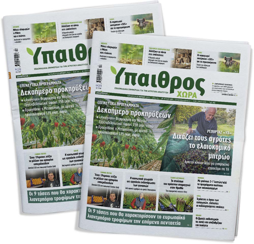 fyllo-495-paraskevi-25-apriliou-2025-351616