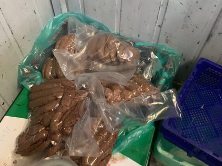 perifereia-attikis-kataschethikan-4-tonoi-akatallilon-trofimon-351662