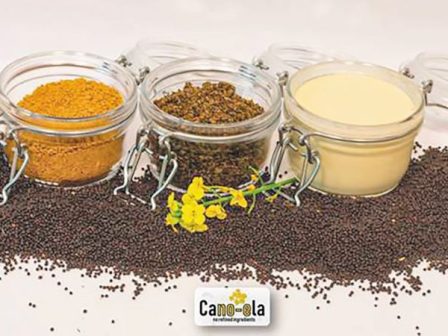cano-ela-chrimatodotisi-gia-fysika-systatika-apo-elaiokramvi-349835