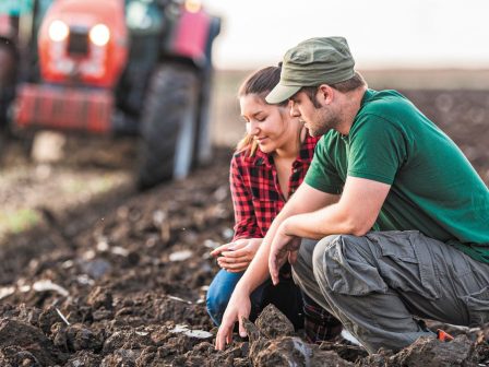 elstat-synechizetai-i-afxisi-sto-kostos-paragogis-alla-kai-stis-times-paragogou-350206