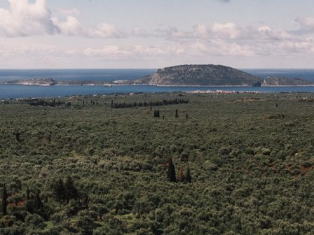 messinia-imerida-gia-tis-kainotomies-sti-fytoprostasia-simera-stous-gargalianous-350727