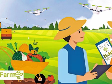 quantifarm-diadiktyaka-ergastiria-gia-tin-psifiaki-georgia-se-patata-kai-elia-350143