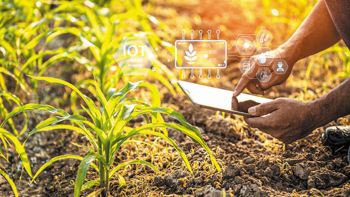 Ηνωμένο Βασίλειο: Πρακτικές λύσεις και αύξηση παραγωγικότητας ζητούν οι αγρότες από την τεχνολογία