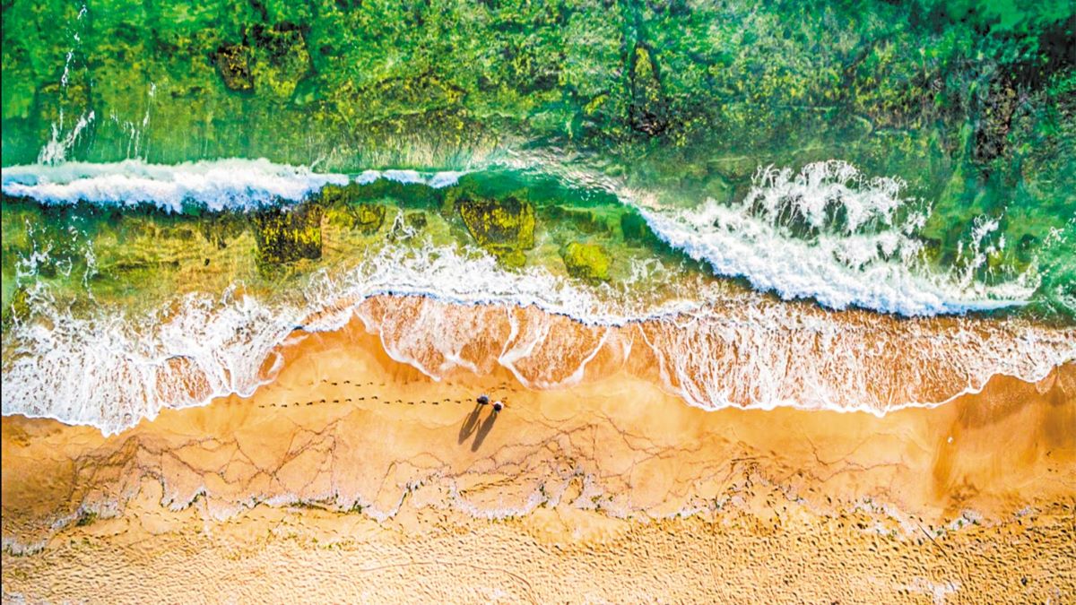 HypeSound: Iταλική startup αξιοποιεί ηχητικά κύματα για να επιταχύνει την ανάπτυξη των φυκιών