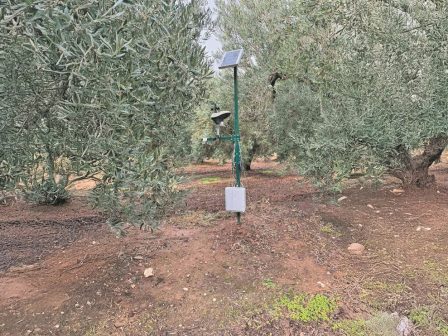olizo-charaktirismos-kai-chartografisi-ton-terroir-elias-351289