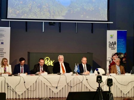 kerkyra-oloklirothike-i-17i-epitropi-parakolouthisis-tou-paa-2014-2022-353081
