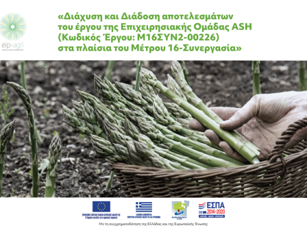 imerida-anoichti-syzitisi-stis-12-5-gia-ta-apotelesmata-tou-ergou-ash-tou-metrou-16-synergasia-352609
