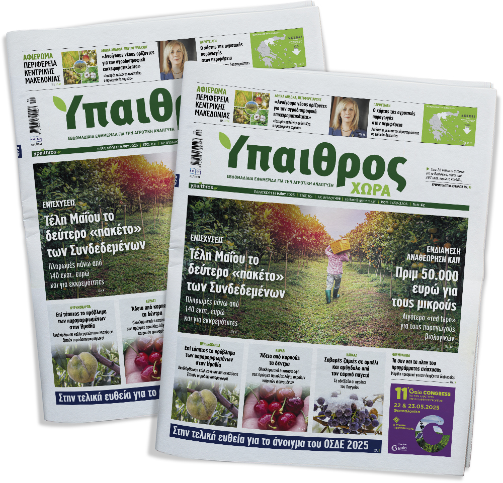 fyllo-498-paraskevi-16-maiou-2025-353153