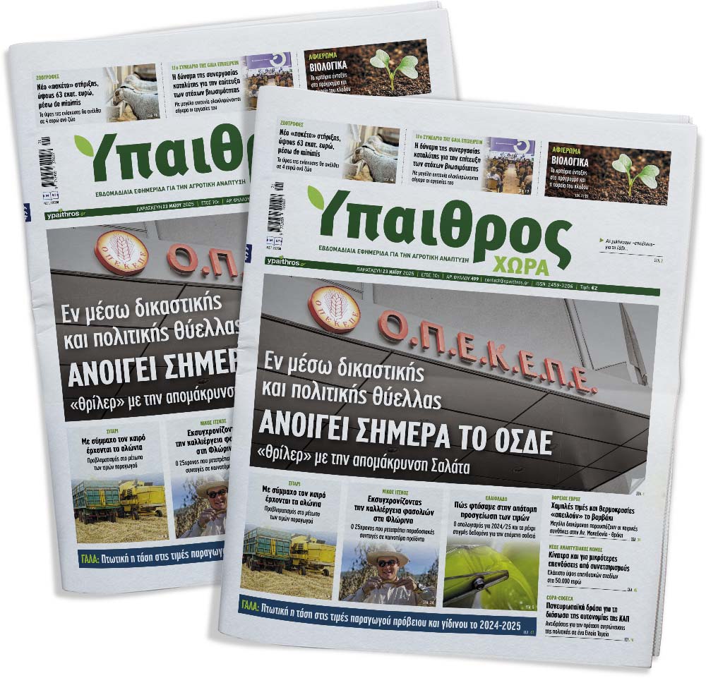 fyllo-499-paraskevi-23-maiou-2025-353763