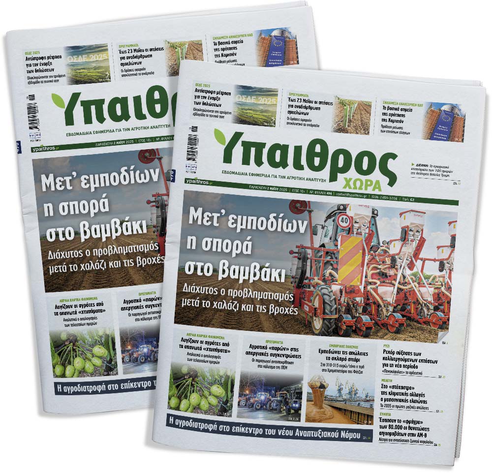 fyllo-496-paraskevi-2-maiou-2025-352074