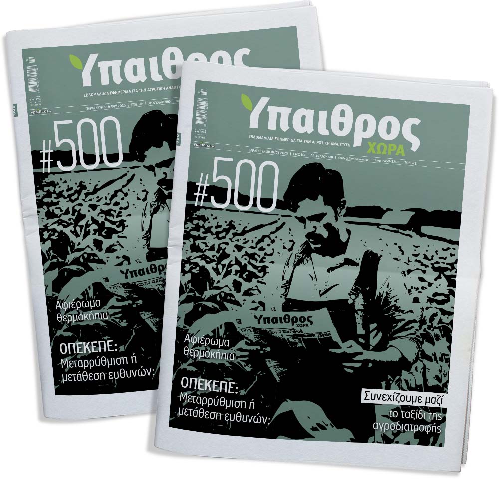 fyllo-500-paraskevi-30-maiou-2025-354404