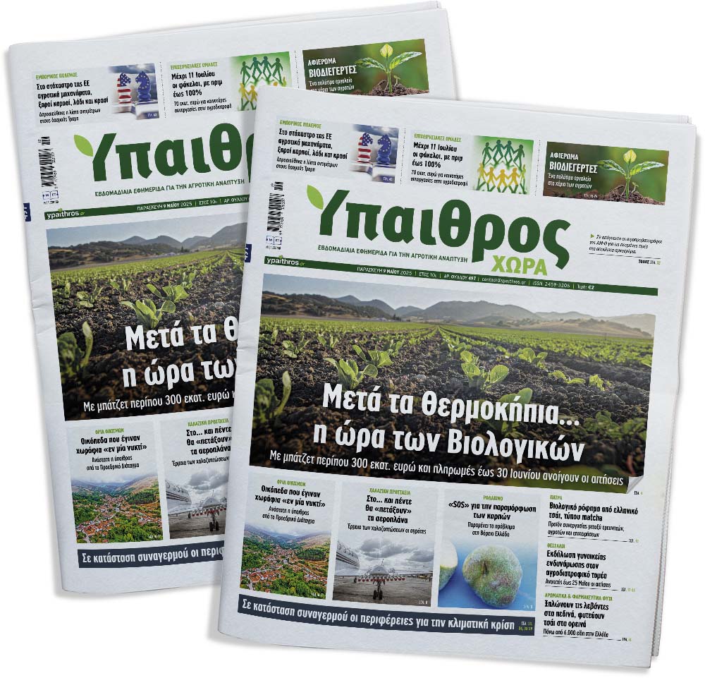 fyllo-497-paraskevi-9-maiou-2025-352653