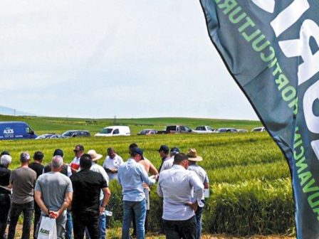field-day-sitiron-apo-tin-agris-353616