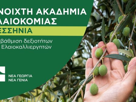 akadimia-elaiokomias-stin-messinia-apo-ti-nea-georgia-nea-genia-354032
