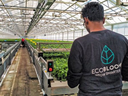 ecobloom-techniti-noimosyni-kai-georgia-esoterikou-chorou-gia-kalyteri-apodosi-354099