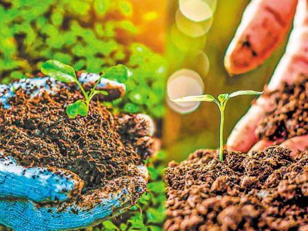 ebiofarm-advice-psifiaki-platforma-ypostirixis-ton-viokalliergiton-stin-ellada-352109