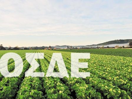 opekepe-anoigei-apo-ora-se-ora-i-eae-2025-xekinaei-i-ypovoli-ton-aitiseon-osde-354276