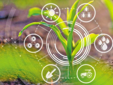 agrinnovation-desmefsi-epitropou-georgias-gia-psifiopoiisi-choris-apokleismous-ston-agrotiko-tomea-353877