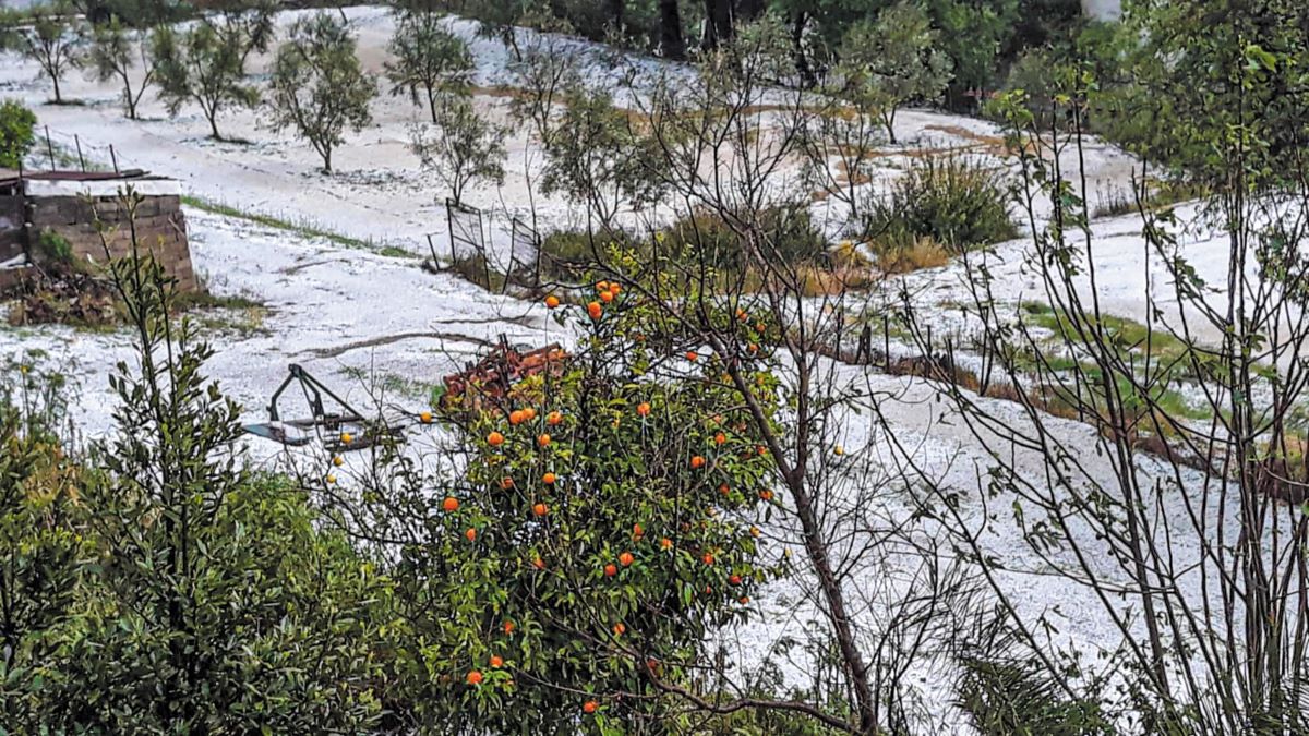 Λυγίζουν οι αγρότες από τα απανωτά «χτυπήματα» του καιρού