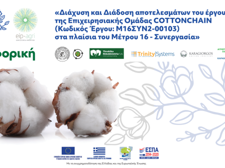 imerida-anoichti-syzitisi-gia-ti-diachysi-kai-diadosi-apotelesmaton-ergou-cottonchain-tou-metrou-16-synergasia-355092