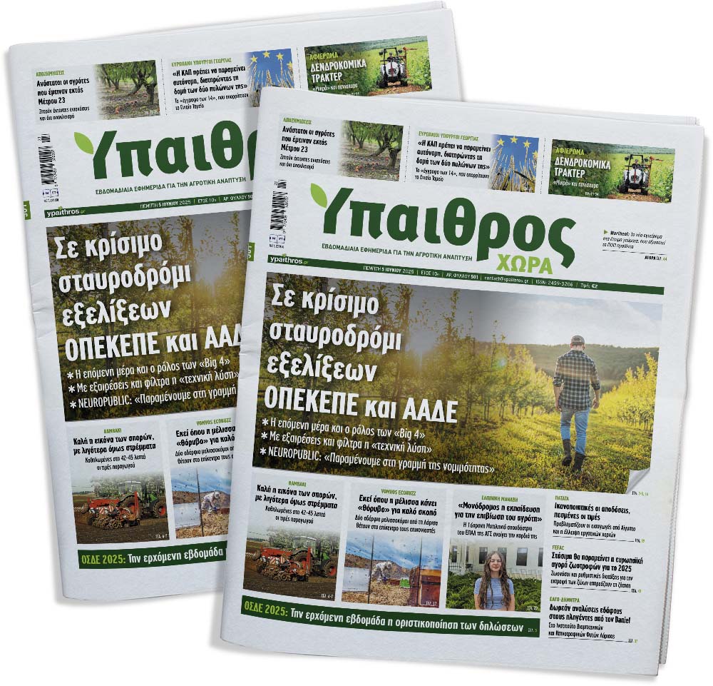 fyllo-501-pebti-5-iouniou-2025-354859