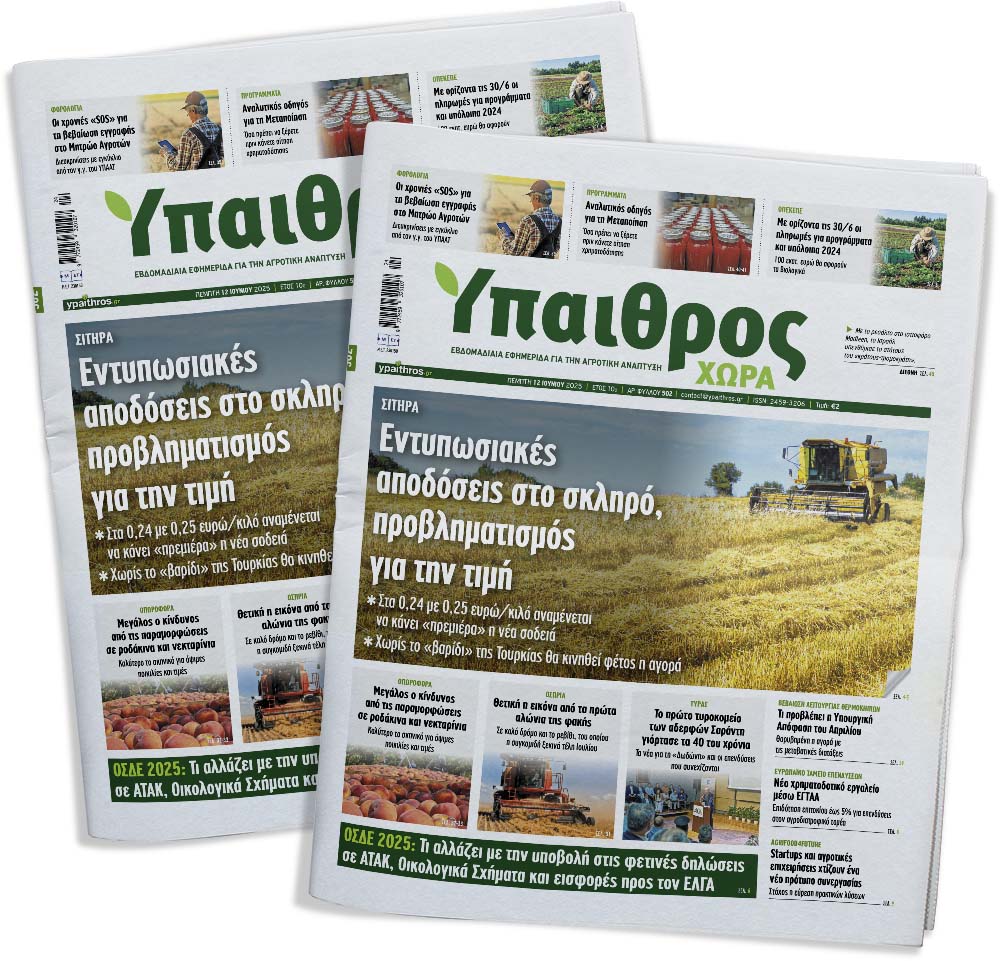 fyllo-502-pebti-12-iouniou-2025-355337