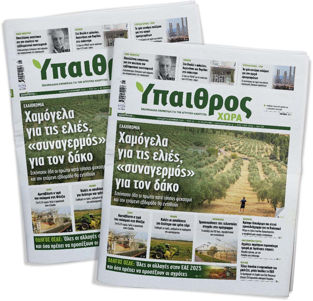 fyllo-503-paraskevi-20-iouniou-2025-355949