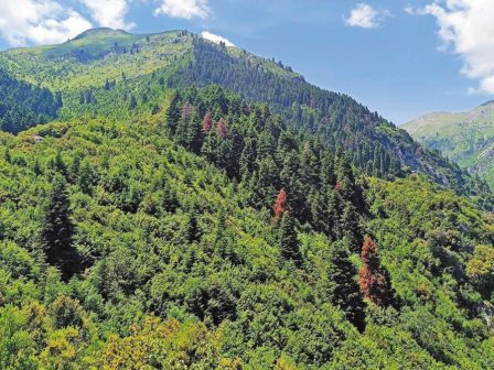 aitoloakarnania-provlimatismos-gia-tin-xiransi-ton-elaton-356529