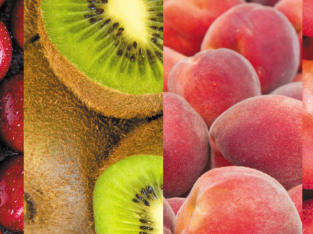 rs-fruit-apovasi-italon-sti-naousa-356290