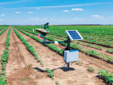 vamvakokalliergeia-metavasi-apo-tin-paradosiaki-diacheirisi-sti-chrisi-tis-technologias-kai-ton-proionton-anagennitikis-georgias-355732