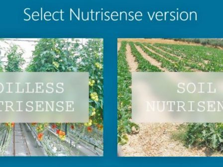 nutrisense-to-exypno-ergaleio-lipansis-pou-allazei-ti-georgia-356541