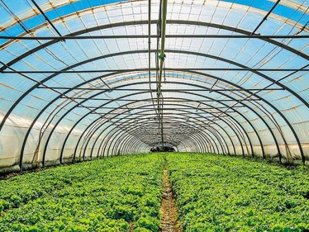 thermokipia-allages-tou-plaisiou-tou-programmatos-ti-ischyei-me-ta-iso-box-ta-agrovoltaika-kai-tin-entopiotita-355509