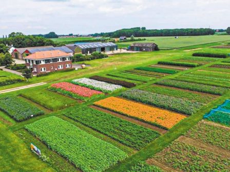 ollandia-to-biobased-innovations-garden-deichnei-ton-dromo-gia-to-mellon-ton-kalliergeion-355619