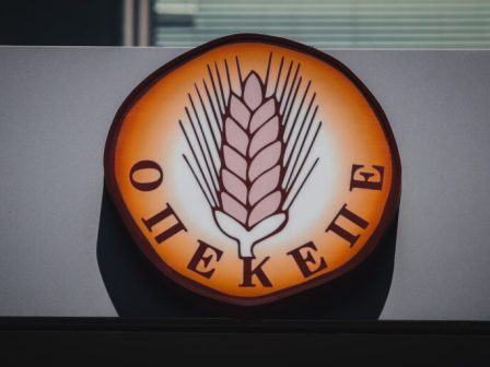opekepe-xekinisan-oi-erevnes-tis-task-force-gia-paranomes-epidotiseis-diloseis-tou-antiproedrou-tou-organismou-357472