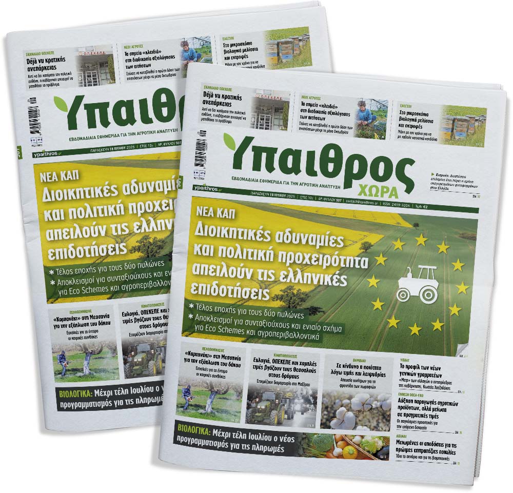 fyllo-507-paraskevi-18-iouliou-2025-358135