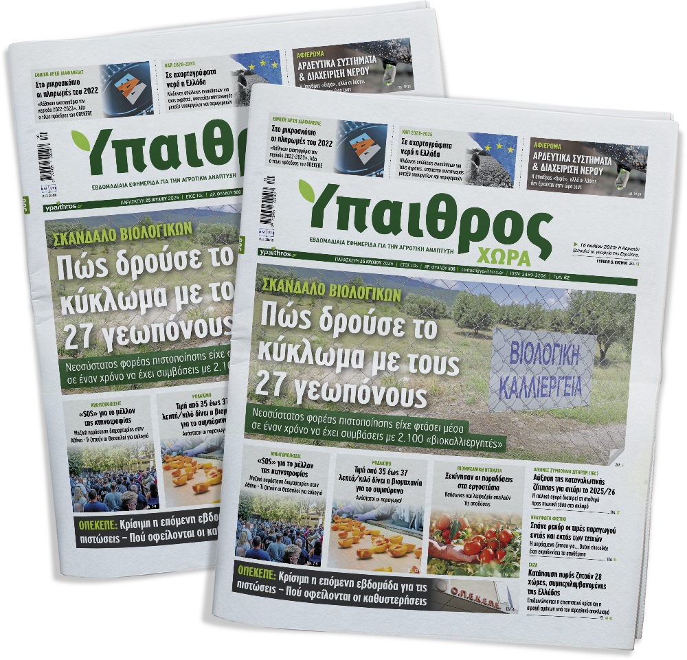 fyllo-508-paraskevi-25-iouliou-2025-358717