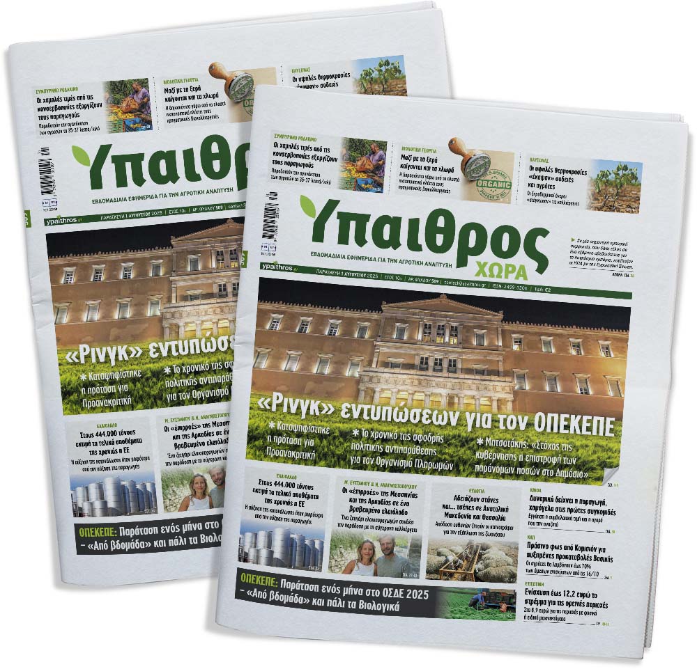 fyllo-509-paraskevi-1-avgoustou-2025-359230