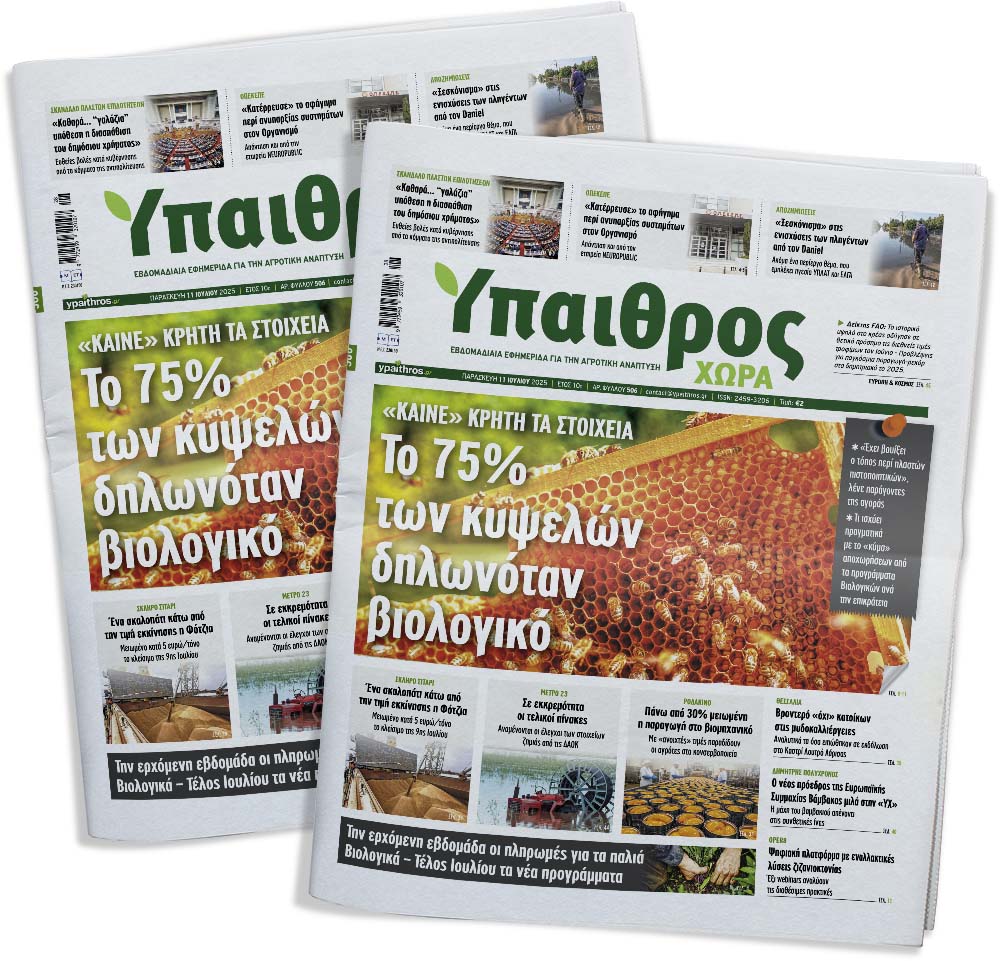 fyllo-506-paraskevi-11-iouliou-2025-357565