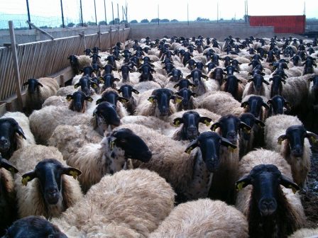 ypaithros-chora-efimerida-gia-tin-agrotiki-anaptyxi-kai-oikonomia-357730