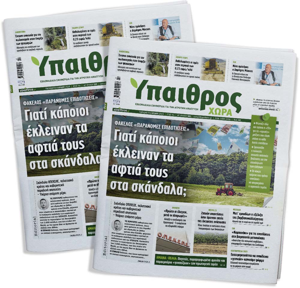 fyllo-505-paraskevi-4-iouliou-2025-357059