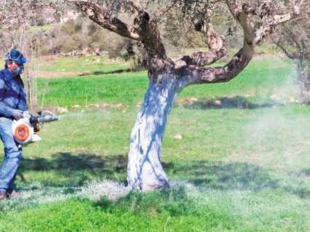 peloponnisos-kabanaki-sti-messinia-gia-tin-exaplosi-tou-dakou-358490