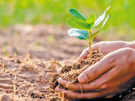 carbon-credits-with-biochar-to-souidiko-protypo-gia-ti-dimiourgia-enos-systimatos-pistotikon-monadon-anthraka-358434