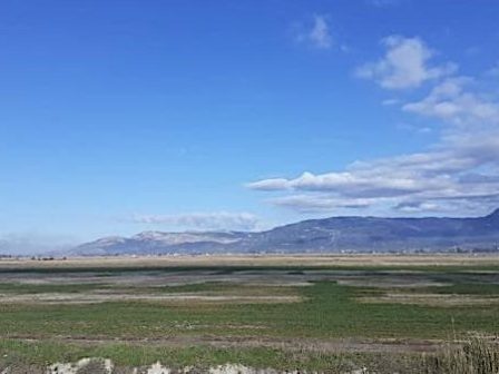 aitoloakarnania-dilosan-ston-opekepe-tmimata-tou-ktimatos-polder-gia-na-paroun-paranomi-epidotisi-358808