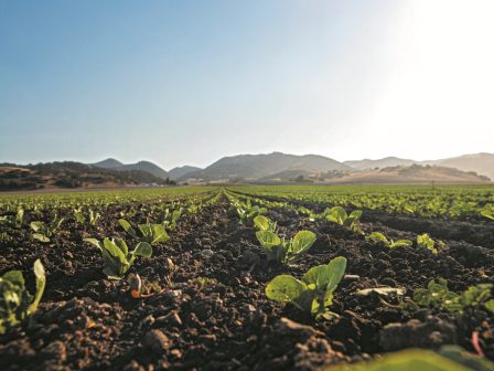 ektos-diatirisis-viologikon-eco-schemes-40-000-paragogoi-me-nea-apofasi-tou-ypaat-360644