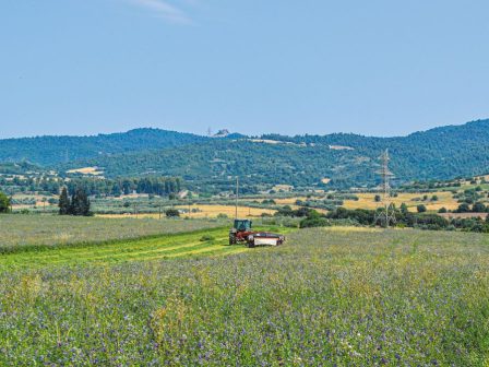 midiki-paragogi-se-krisi-agrotes-se-omiria-361008
