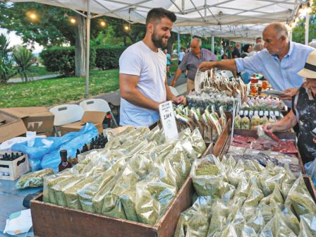 alexandroupoli-20i-giorti-melissokomon-kai-oikotechnon-359773