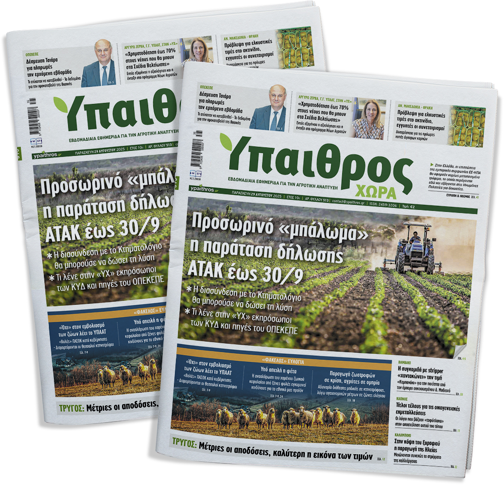 fyllo-513-paraskevi-29-avgoustou-2025-360939