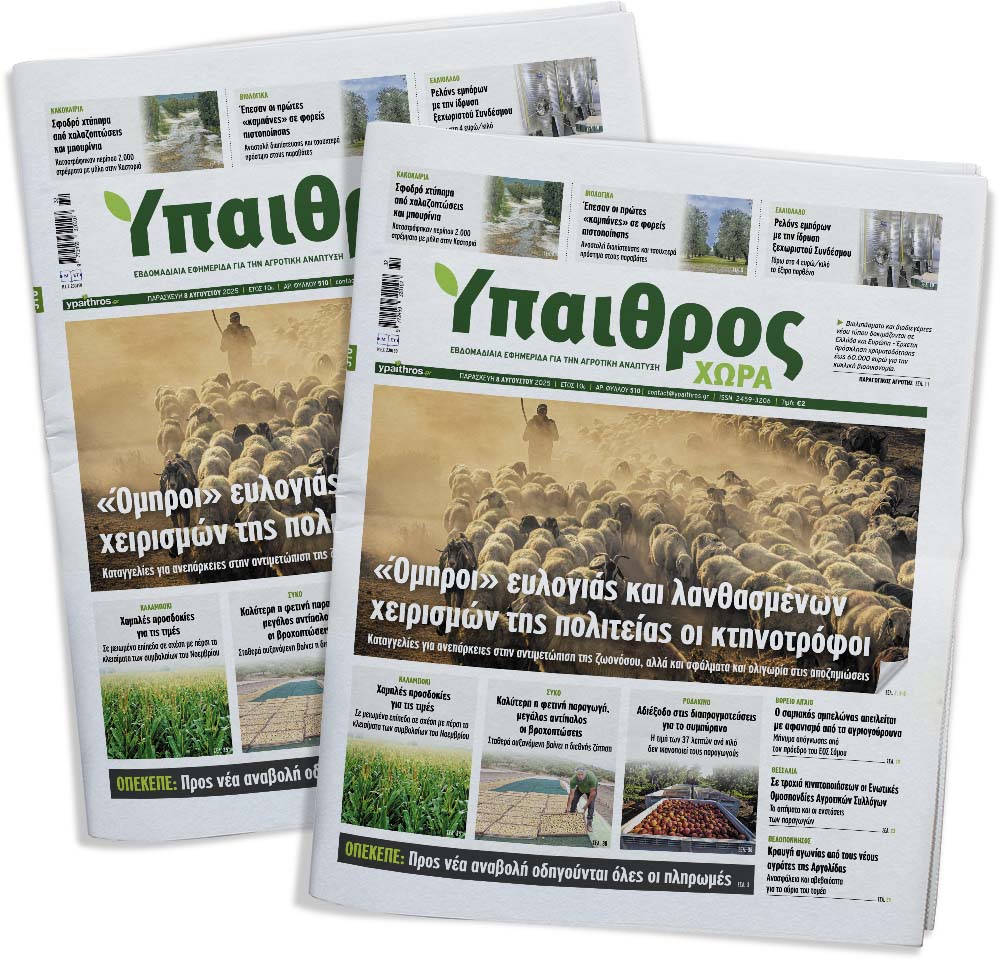 fyllo-510-paraskevi-8-avgoustou-2025-359723